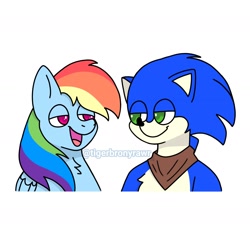 Size: 2022x2022 | Tagged: safe, artist:tigerbronyrawr, rainbow dash, hedgehog, pegasus, pony, g4, bandana, crossover, duo, high res, looking at each other, looking at someone, male, simple background, sonic boom, sonic the hedgehog, sonic the hedgehog (series), talking, white background