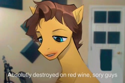 Size: 2048x1366 | Tagged: safe, artist:draw3, caramel, earth pony, pony, g4, alcohol, dialogue, drunk, jerma985, male, meme, microphone, microphone stand, ponified, ponified meme, real life background, rule 85, solo, stallion, text, wine, youtuber