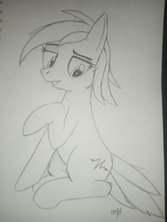 Size: 1200x1600 | Tagged: safe, artist:m37, oc, earth pony, pony, female, pencil drawing, solo, traditional art