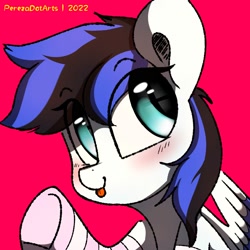 Size: 2000x2000 | Tagged: safe, artist:perezadotarts, oc, oc only, oc:black ice, pegasus, pony, :p, blushing, clothes, colored, cute, digital art, drawing, high res, looking at you, red background, simple background, socks, solo, text, tongue out