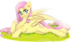 Size: 2000x1182 | Tagged: safe, artist:kawi_pie, fluttershy, pegasus, pony, g4, aside glance, cute, female, grass, head tilt, looking at you, lying down, mare, prone, shyabetes, solo, spread wings, unshorn fetlocks, wings