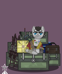 Size: 4245x5021 | Tagged: safe, artist:devorierdeos, oc, pegasus, semi-anthro, fallout equestria, arm hooves, assault rifle, enclave, grand pegasus enclave, gun, looking at you, pills, radio, reference, rifle, simple background, solo, spy, toolbox, watch, weapon