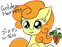 Size: 2006x1515 | Tagged: safe, artist:namaenonaipony, carrot top, golden harvest, earth pony, pony, g4, female, japanese, mare, simple background, solo, wavy mouth, white background