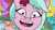 Size: 3410x1920 | Tagged: safe, screencap, dahlia, earth pony, pony, g5, my little pony: tell your tale, neighfever, spoiler:g5, spoiler:my little pony: tell your tale, close-up, desperate, female, flower, high res, mare, open mouth, open smile, shrunken pupils, smiling, solo, youtube link