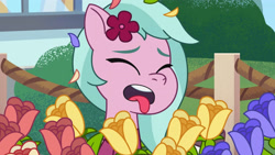 Size: 3410x1920 | Tagged: safe, screencap, dahlia, earth pony, pony, g5, my little pony: tell your tale, neighfever, spoiler:g5, spoiler:my little pony: tell your tale, spoiler:tyts01e16, disgusted, eyes closed, female, flower, high res, mare, open mouth, solo, tongue out, youtube link
