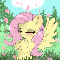 Size: 3333x3333 | Tagged: safe, artist:pure red, artist:pure_red001, fluttershy, butterfly, pegasus, pony, g4, bipedal, blushing, cherry blossoms, chest fluff, cloud, cute, daaaaaaaaaaaw, ear fluff, eyes closed, female, flower, flower blossom, frog (hoof), grass, high res, hooves to the chest, hooves together, mare, nature, shyabetes, smiling, tree, underhoof