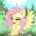 Size: 3333x3333 | Tagged: safe, artist:pure_red001, fluttershy, butterfly, pegasus, blushing, cherry blossoms, chest fluff, cloud, cute, daaaaaaaaaaaw, ear fluff, eyes closed, flower, flower blossom, frog (hoof), grass, hooves to the chest, hooves together, nature, shyabetes, smiling, tree, underhoof