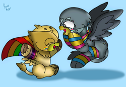 Size: 2524x1751 | Tagged: safe, artist:beesmeliss, gabby, grizzle, griffon, g4, blue background, chibi, clothes, pride flag, pride socks, simple background, socks, striped socks