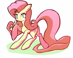 Size: 2836x2274 | Tagged: safe, artist:solid shrimp, fluttershy, pegasus, pony, g4, high res, simple background, solo