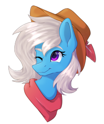Size: 1869x2220 | Tagged: safe, artist:lambydwight, oc, oc:quiver, pony, bust, clothes, hat, one eye closed, portrait, scarf, simple background, transparent background, wink