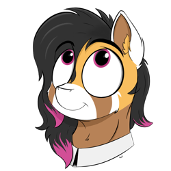 Size: 900x900 | Tagged: safe, artist:rapid9, oc, oc only, pony, bust, collar, commission, long hair, looking up, simple background, smiling, solo, white background, ych result