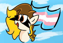 Size: 3160x2140 | Tagged: safe, artist:beepo, oc, oc only, oc:beepo, pegasus, pony, female, high res, mare, pride, pride flag, solo, transgender, transgender pride flag