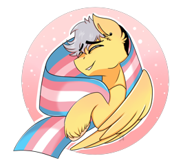Size: 2312x2244 | Tagged: safe, artist:shamy-crist, oc, oc:gala, pegasus, pony, high res, pride, pride flag, solo, transgender pride flag