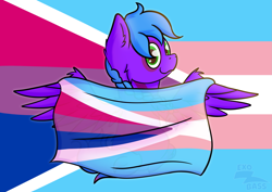 Size: 2063x1458 | Tagged: safe, artist:exobass, oc, oc:violet aura, pegasus, pony, bisexual pride flag, bitrans flag, commission, commissioner:solar aura, female, mare, pride, pride flag, solo, spread wings, transgender pride flag, wings, ych result