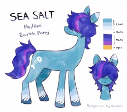 Size: 2048x1800 | Tagged: safe, artist:lutraviolet, oc, oc only, oc:sea salt, earth pony, pony, hair over eyes, male, reference sheet, simple background, solo, stallion, unshorn fetlocks, white background