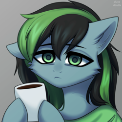 Size: 1920x1920 | Tagged: safe, artist:alunedoodle, oc, oc only, oc:weo, pegasus, pony, bust, cheek fluff, clothes, coffee mug, floppy ears, frown, gray background, hoof hold, lidded eyes, male, mug, pegasus oc, shirt, signature, simple background, solo, stallion, two toned mane