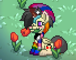 Size: 543x430 | Tagged: safe, oc, oc only, oc:meezy, alicorn, pony, pony town, bisexual pride flag, clothes, gay pride, genderfluid pride flag, pixel art, pride, pride flag, pride month, rainbow socks, socks, solo, striped socks