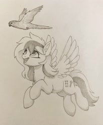 Size: 2619x3199 | Tagged: safe, artist:luminousdazzle, oc, oc only, oc:kezzie, bird, parakeet, parrot, pegasus, pony, duo, female, flying, high res, looking up, mare, pegasus oc, pet, smiling, traditional art
