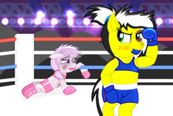 Size: 1024x683 | Tagged: safe, artist:toyminator900, oc, oc only, oc:love punch, oc:uppercute, earth pony, pegasus, pony, beaten up, bipedal, boxing, boxing ring, clothes, female, knock out, sports