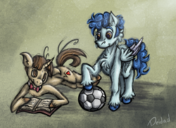 Size: 1487x1080 | Tagged: safe, artist:deidad dissitum, curly winds, some blue guy, wiz kid, pegasus, pony, unicorn, g4, book, bow, couple, duo, duo male, football, gay, looking at each other, looking at someone, love, male, ship:wizwinds, shipping, sports