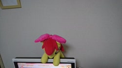 Size: 2048x1152 | Tagged: safe, artist:up_p_ab, apple bloom, earth pony, pony, female, filly, foal, irl, looking down, monitor, photo, plushie, solo