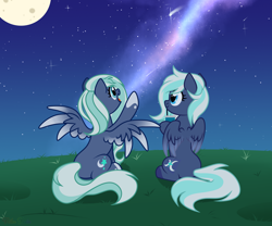 Size: 1800x1500 | Tagged: safe, artist:nika-rain, oc, oc only, pegasus, pony, commission, cute, duo, duo female, female, grass, moon, night, show accurate, stars