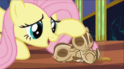 Size: 400x224 | Tagged: safe, screencap, fluttershy, chipmunk, pegasus, pony, every little thing she does, g4, season 6, ^^, animated, cute, daaaaaaaaaaaw, discovery family, discovery family logo, eyes closed, female, gif, head rub, hnnng, logo, mare, shyabetes, talking, twilight's castle, weapons-grade cute