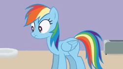Size: 426x240 | Tagged: safe, artist:forgalorga, rainbow dash, pegasus, pony, your little cat, your little pets, g4, animated, behaving like a cat, bread, cute, female, food, gif, jumping, mare, plate, scared, shocked, toaster, video at source