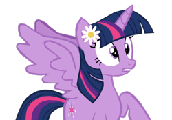 Size: 1280x892 | Tagged: safe, artist:benpictures1, edit, twilight sparkle, alicorn, pony, g4, power ponies (episode), cute, female, flower, flower in hair, inkscape, mare, raised hoof, shocked, simple background, solo, teeth, transparent background, twiabetes, twilight sparkle (alicorn), vector