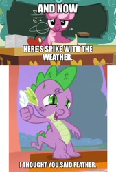 Size: 800x1183 | Tagged: safe, edit, edited screencap, screencap, cheerilee, spike, dragon, earth pony, pony, family appreciation day, g4, owl's well that ends well, caption, feather, image macro, text, the fairly oddparents