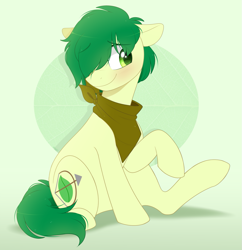 Size: 1065x1100 | Tagged: safe, artist:higglytownhero, oc, oc only, oc:emerald mask, earth pony, pony, eye clipping through hair, green background, male, simple background, solo, stallion