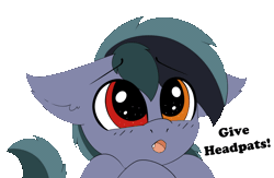 Size: 1280x833 | Tagged: safe, artist:pegamutt, oc, oc only, oc:scrimmy, bat pony, pony, animated, bat pony oc, begging, commission, cute, dialogue, fangs, heterochromia, looking at you, male, ocbetes, simple background, solo, stallion, transparent background, two-frame gif, ych result