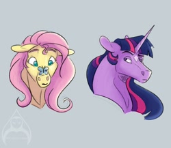 Size: 2300x2000 | Tagged: safe, artist:will-owl-the-wisp, fluttershy, twilight sparkle, butterfly, pegasus, pony, unicorn, g4, bust, butterfly on nose, coat markings, duo, duo female, eyebrows, facial markings, female, floppy ears, gray background, high res, hoers, insect on nose, mare, signature, simple background, star (coat marking)