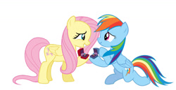 Size: 1280x661 | Tagged: safe, artist:fluffyorbiter, fluttershy, rainbow dash, pegasus, pony, g4, duo, female, kneeling, lesbian, marriage proposal, ship:flutterdash, shipping, simple background, smiling, voice actor joke, white background