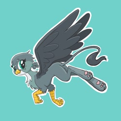 Size: 2048x2048 | Tagged: safe, artist:pfeffaroo, gabby, griffon, g4, flying, high res, looking at you, looking back, outline, paw pads, paws, simple background, smiling, solo, spread wings, teal background, white outline, wings