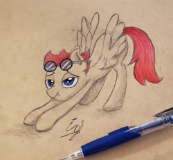 Size: 2173x2009 | Tagged: safe, artist:engi, oc, oc only, oc:engi, pegasus, pony, goggles, goggles on head, high res, iwtcird, meme, pencil drawing, simple background, solo, traditional art