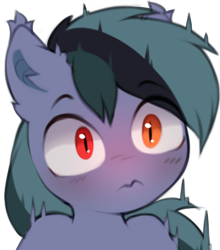 Size: 540x613 | Tagged: safe, artist:astralblues, oc, oc only, oc:scrimmy, bat pony, pony, bat pony oc, ear fluff, heterochromia, male, shocked, shocked expression, simple background, solo, stallion, surprised, transparent background