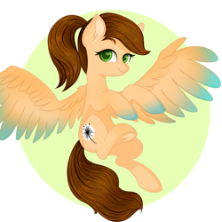 Size: 4050x4050 | Tagged: source needed, useless source url, safe, artist:bellfa, oc, oc only, oc:sunrise, pegasus, pony, brown hair, colored pupils, commission, cute, ear fluff, eyelashes, feathered wings, female, flying, frog (hoof), full body, green eyes, looking at you, mare, ponytail, simple background, smiling, smiling at you, solo, spread wings, sticker, underhoof, wings