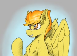 Size: 950x697 | Tagged: safe, artist:reddthebat, spitfire, pegasus, pony, g4, simple background, spread wings, wings