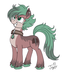 Size: 2454x2788 | Tagged: safe, artist:jowyb, oc, oc only, earth pony, pony, 2020, collar, commission, earth pony oc, high res, old art, simple background, solo, transparent background, unshorn fetlocks