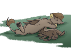 Size: 3300x2250 | Tagged: safe, artist:rutkotka, oc, oc only, oc:elio, griffon, clothes, commission, grass, hat, high res, lying down, on back, paw pads, simple background, sleeping, solo, spread wings, white background, wings