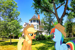 Size: 2448x1632 | Tagged: safe, artist:dashiesparkle edit, artist:mlplover94, artist:myardius, edit, applejack, rainbow dash, earth pony, pegasus, pony, g4, angry, applejack's hat, billings, cowboy hat, hat, irl, looking at each other, looking at someone, montana, open mouth, photo, ponies in real life, stetson