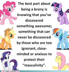 Size: 500x519 | Tagged: safe, applejack, fluttershy, pinkie pie, rainbow dash, rarity, twilight sparkle, earth pony, pegasus, pony, unicorn, g4, brony, female, join the herd, mane six, manly, mare, masculinity, my little brony, simple background, stock vector, text, unicorn twilight, white background