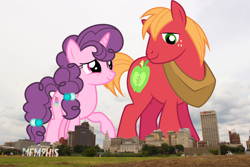 Size: 2100x1400 | Tagged: safe, artist:ambassad0r, artist:dashiesparkle, artist:mlplover94, big macintosh, sugar belle, earth pony, pony, unicorn, female, giant pony, giant unicorn, giant/macro earth pony, giantess, highrise ponies, irl, macro, male, mare, mega giant, memphis, photo, ponies in real life, shipping, smiling, stallion, story included, straight, sugarmac, tennessee