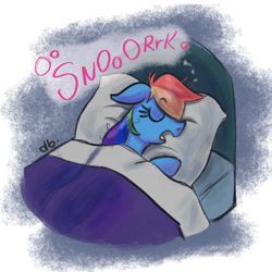 Size: 1000x1000 | Tagged: safe, artist:dubudrops, rainbow dash, pegasus, pony, g4, bed, female, mare, pillow, sleeping, snoring, solo