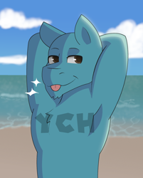 Size: 1500x1869 | Tagged: safe, artist:brushwork, oc, oc only, earth pony, semi-anthro, :p, advertisement, arm behind head, armpits, beach, cloud, colored pupils, commission, day, eyebrows, handsome, looking at you, male, ocean, outdoors, sand, sky, smiling, smiling at you, smirk, solo, stallion, tongue out, water, ych example, your character here