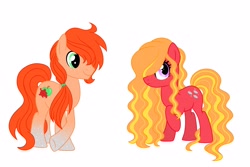 Size: 4080x2728 | Tagged: safe, artist:ocean-drop, oc, oc:autumn gold, oc:pebble pie, earth pony, pony, brother and sister, coat markings, duo, female, long hair, male, mare, offspring, parent:big macintosh, parent:marble pie, parents:marblemac, siblings, simple background, socks (coat markings), stallion, white background