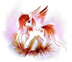 Size: 2048x1772 | Tagged: safe, artist:dearmary, oc, oc only, oc:making amends, pegasus, pony, solo