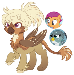 Size: 1133x1142 | Tagged: safe, artist:hopenotfound, gabby, scootaloo, oc, oc:autumn breeze, griffon, hippogriff, pony, g4, interspecies offspring, magical lesbian spawn, offspring, parent:gabby, parent:scootaloo, parents:gabbyloo, simple background, transparent background
