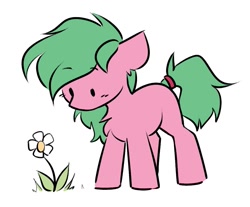 Size: 1153x955 | Tagged: safe, artist:starlyfly, oc, oc only, earth pony, pony, flower, simple background, solo, white background